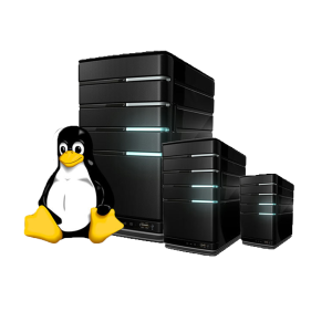 Linux vps unmanaged